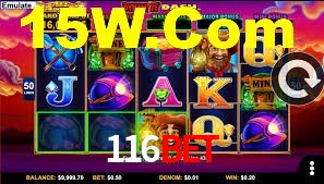 Premium Interface 116Bet