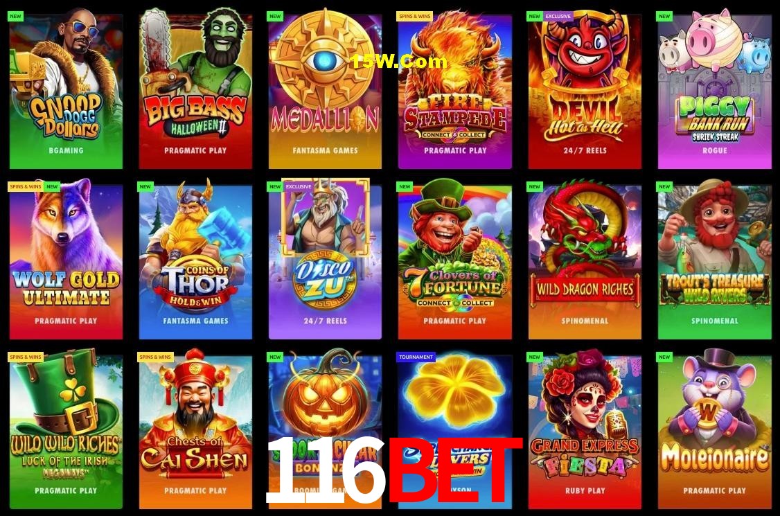 Security Systems 116Bet